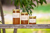 Raw Greek Vanilla Fir Honey by Wild about Honey