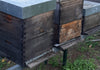 beehives wildabouthoney