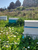 Raw Greek Kalymnos Thyme honey by Wild about Honey